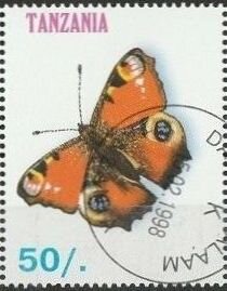 European Peacock (Aglais io)