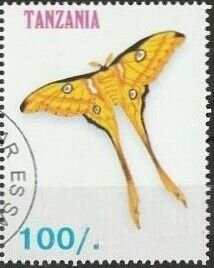 Stamp, Madagascan moon Moth (Argema mittrei), Cinderellas,  , Butterflies