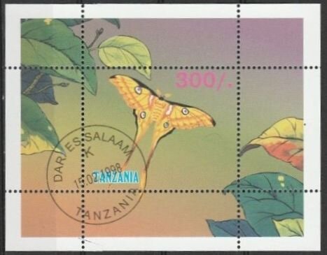 Madagascan moon Moth (Argema mittrei)
