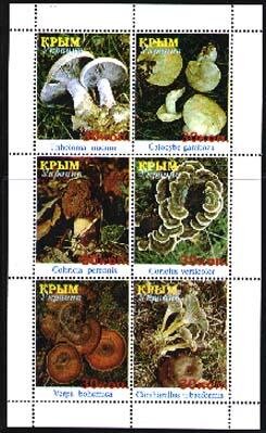 Mushrooms