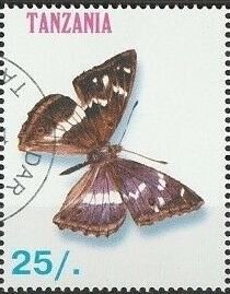 Purple Emperor (Apatura iris)