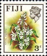 Calanthe furcata