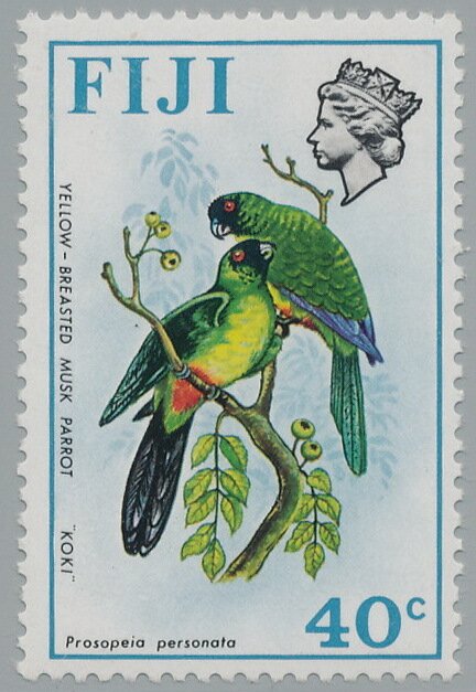 Yellow-breasted Musk Parrot (Prosopeia personata)