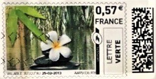 White flower on pebbles. Reflections on water.