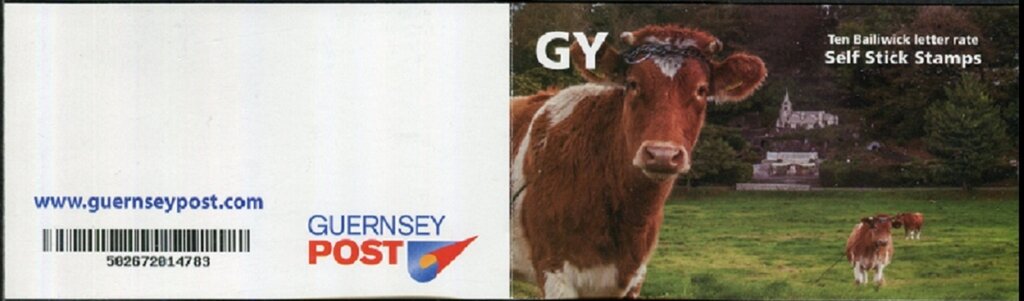 Guernsey Cow