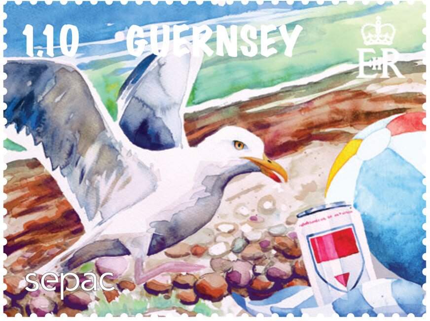 Seagull with Can of Beer