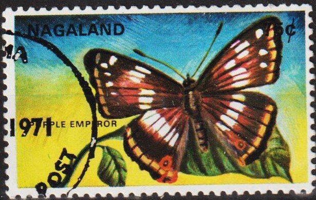 Purple Emperor (Apatura iris)