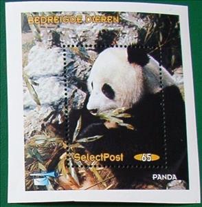 Souvenir Sheet, Panda, Personalized and Private Mail Stamps,  , Animals (Fauna), Pandas