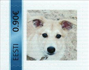 Stamp, Roki koer, Personalized and Private Mail Stamps,  , Dogs, Mammals