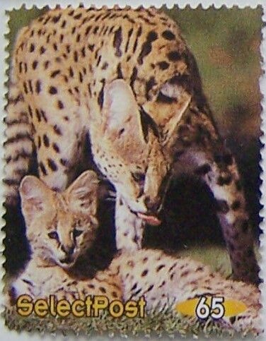 Serval