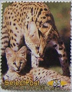 Stamp, Serval, Personalized and Private Mail Stamps,  , Animals (Fauna), Wild Cats