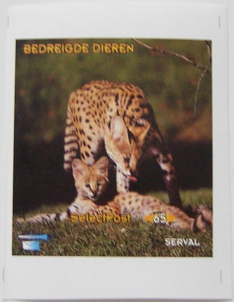 Serval