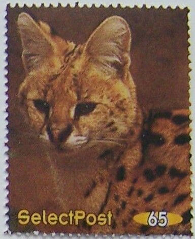 Serval