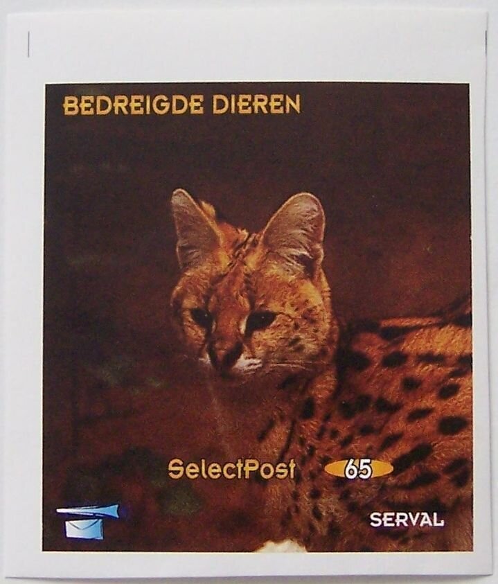 Serval