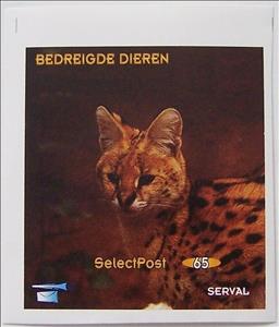 Souvenir Sheet, Serval, Personalized and Private Mail Stamps,  , Animals (Fauna), Wild Cats