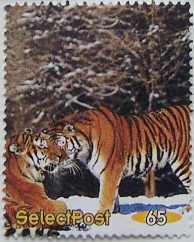 Tigers