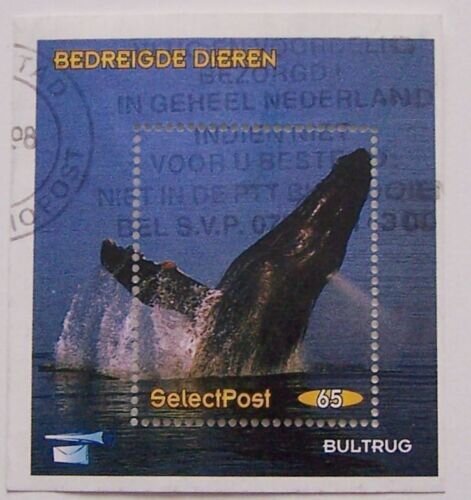 Whales