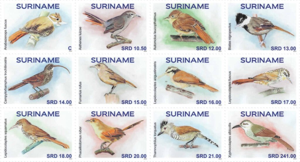 Birds of the World