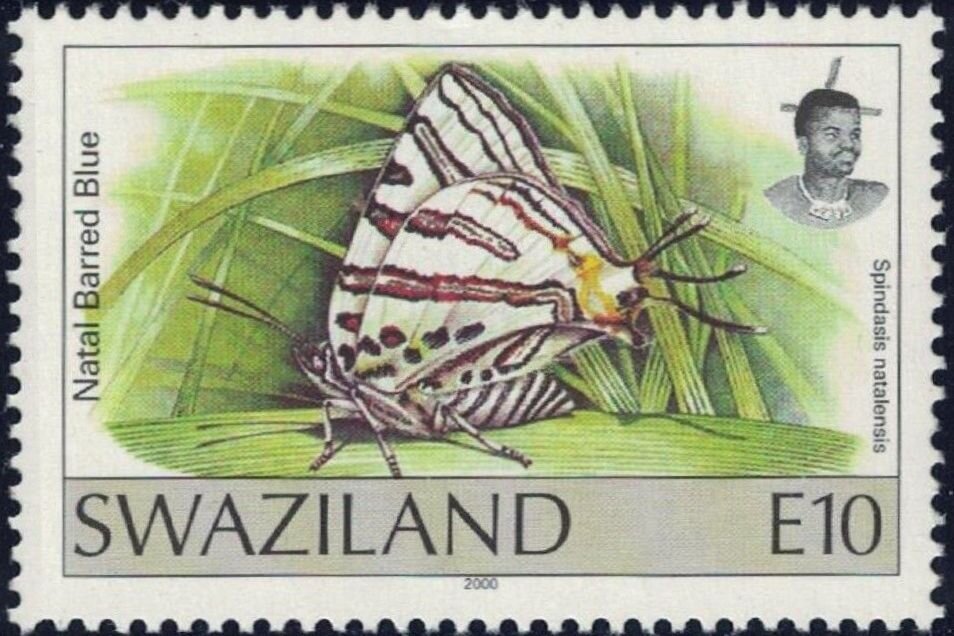 Natal Barred Blue (Spindasis natalensis)
