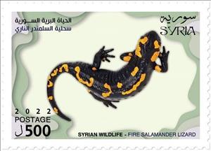 Stamp, Fire Salamander (Salamandra salamandra), Syria,  , Lizards