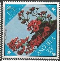 Kalanchoe