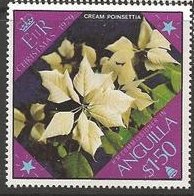 Cream poinsettia