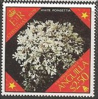 White poinsettia