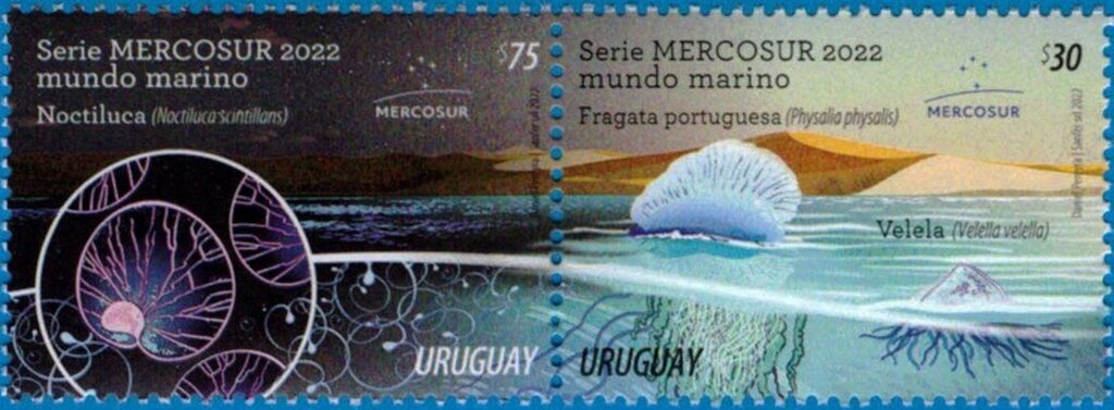 Mercosur 2022 : Marine Life