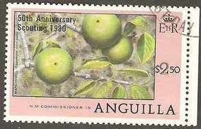 Manchineel (fruit)
