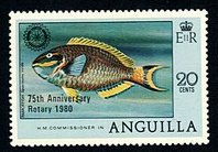Stoplight Parrotfish (Sparisoma viride)