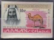 Sheik Rashid and Dromedary (Camelus dromedarius)