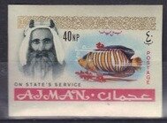 Sheik Rashid and Royal Angelfish (Pygoplites diacanthus)