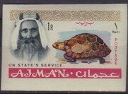 Sheik Rashid and Spur-thighed Tortoise (Testudo graeca)
