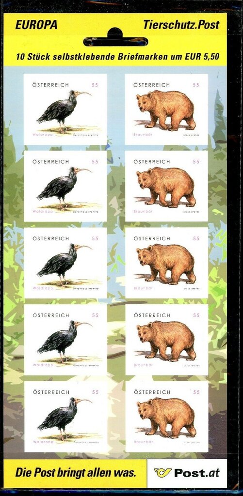 Northern Bald Ibis and Brown Bear