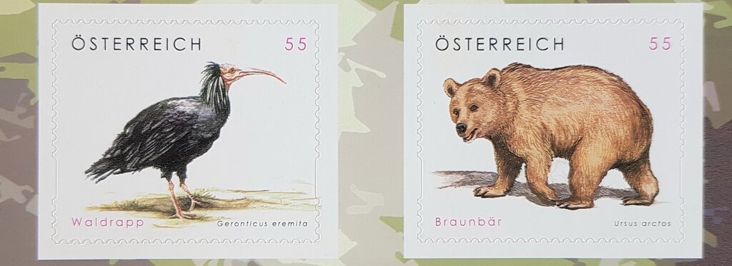 Northern Bald Ibis and Brown Bear
