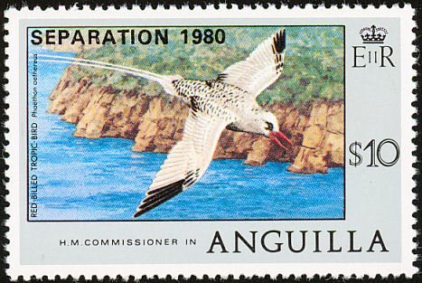 Red-billed Tropicbird (Phaethon aethereus)
