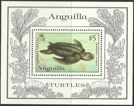 Leatherback Sea Turtle (Dermochelys coriacea)
