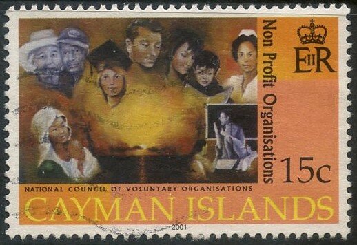 National Council of Voluntary Organizations