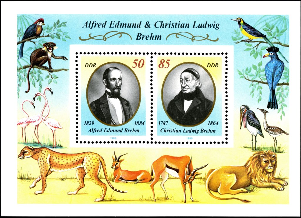 Brehm brothers