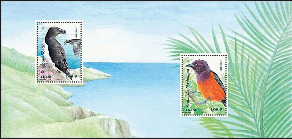 Island Birds