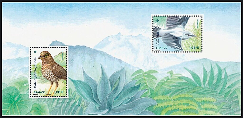 Island Birds