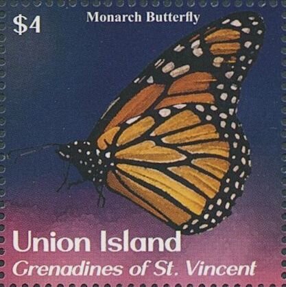 Monarch Butterfly (Danaus plexippus)