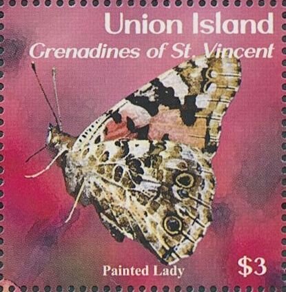 Painted Lady (Vanessa cardui)