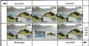 Mini Sheet, Common Carp (Cyprinus Carpio), Montenegro,  , Animals (Fauna), Fishes