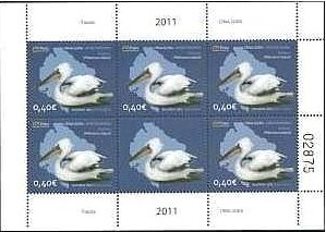 Dalmatian Pelican (Pelecanus crispus)