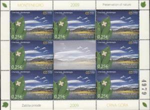 Mini Sheet, Plavsko lake, Montenegro,  , Environment Protection, Lakes, Landscapes