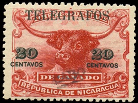 Bull