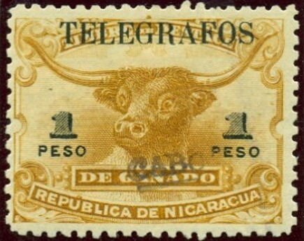 Bull