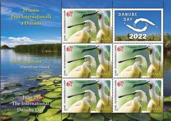 Eurasian Spoonbill (Platalea leucorodia)