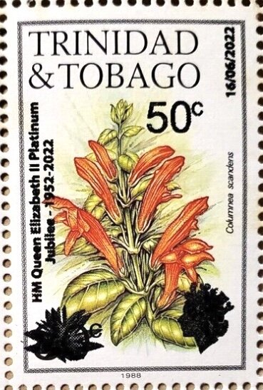 Columnea scandens Overprinted for Platinum Jubilee